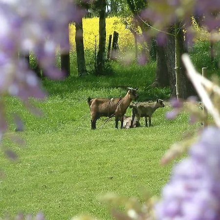 בית נופש Prairie Bonheur *